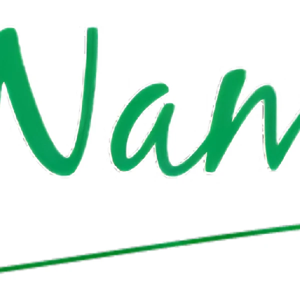 nameera logo copy