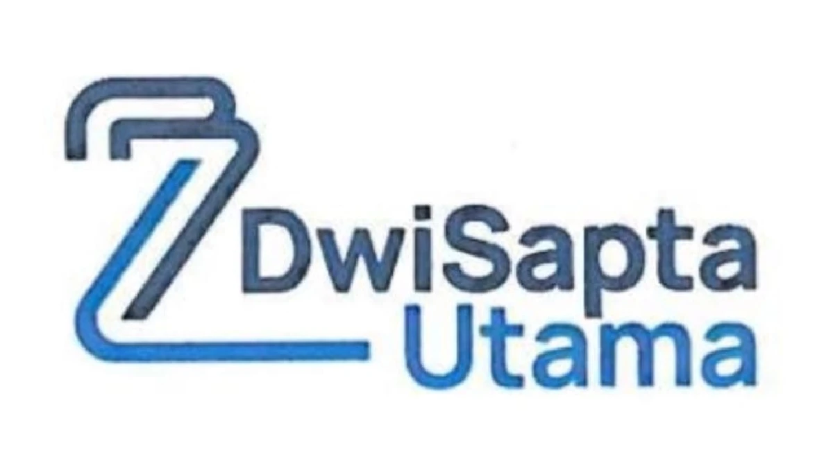 LOGO DSU