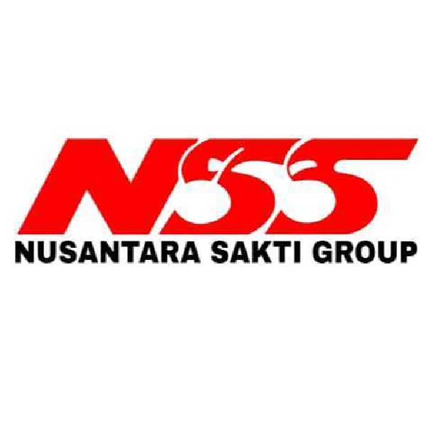 logo nss png